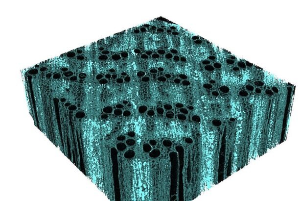 Engineers fortify wood with eco-friendly nano-iron