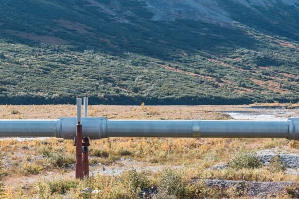 Gas Pipeline Co-Founder Kinder Dismisses Tariff, AI Concerns
