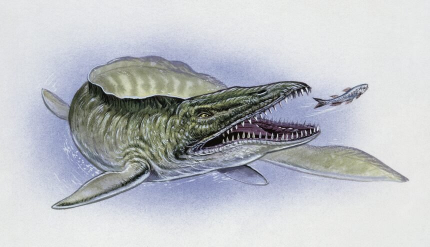 Geologists accidentally found a monstrous mosasaur fossil in Mississippi mud