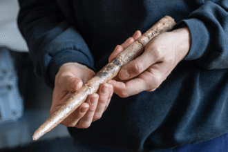Ancient Whale Bone Tools Unearthed in Spanish Cave