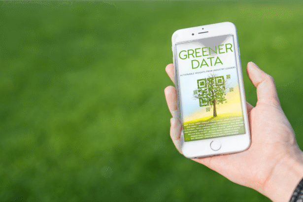 Driving Towards Sustainability: A Guide to Greener Data Practices in Five Steps