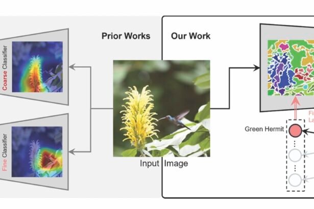 Hierarchical Image Classification: From General Concepts to Detailed Categories