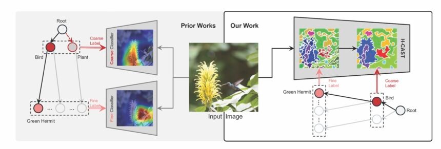Hierarchical Image Classification: From General Concepts to Detailed Categories