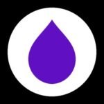 Layer Secures .5M in Seed Funding Round