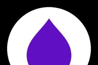 Layer Secures .5M in Seed Funding Round