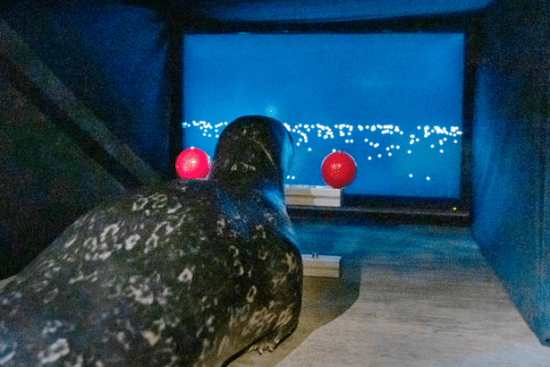 Navigating the Game: How Seals Use Their Instincts to Conquer Virtual Worlds