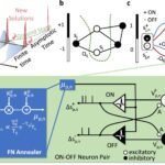 Quantum Neuromorphic Computing: Unleashing Optimal Solutions for Complex Challenges
