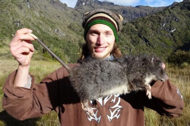 Rare Encounter: Capturing the Elusive Woolly Rat on Camera