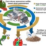 Revolutionizing Biofuel Production: Scientists Develop Innovative Method to Convert Corn Waste into Affordable Sugar