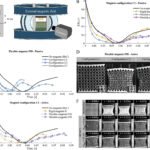 Revolutionizing Biomedicine and Robotics with Structurally Reprogrammable Magnetic Metamaterials