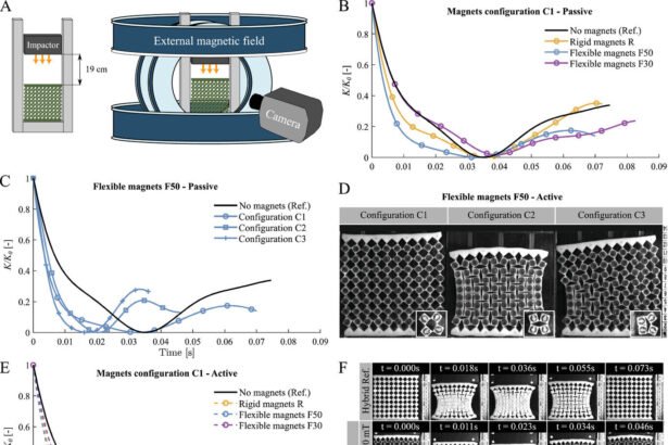 Revolutionizing Biomedicine and Robotics with Structurally Reprogrammable Magnetic Metamaterials