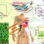 Revolutionizing Energy Storage: Mimosa Seed Bio-Piezoelectric Device as a Self-Charging Supercapacitor