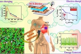 Revolutionizing Energy Storage: Mimosa Seed Bio-Piezoelectric Device as a Self-Charging Supercapacitor
