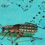 Seamless Hybrid Cloud VM Migrations: Cockroach Labs and Red Hat Join Forces