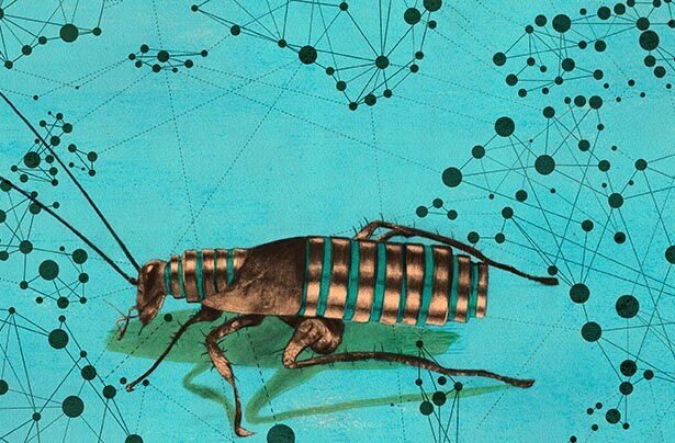 Seamless Hybrid Cloud VM Migrations: Cockroach Labs and Red Hat Join Forces