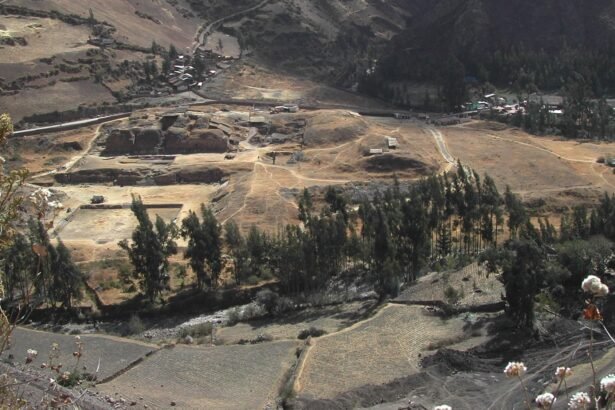 Shamanic Societal Structures: The Influence of Hallucinogenic Rituals in Pre-Incan Peru