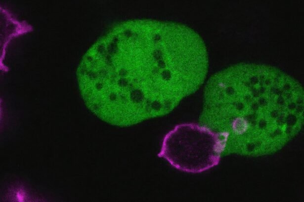The Cell-Devouring Parasite: Masters of Disguise