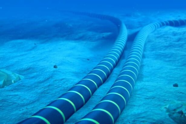 The Fragile Lifeline: Examining the Vulnerability of Undersea Cables