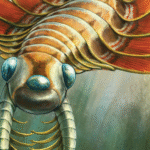 The Unusual Respiratory System of the Ancient Three-Eyed Sea Moth