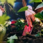 Thriving in Unexpected Spaces: Exploring the Joy of Growing Culinary Plants