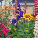 Unleashing the Wild: A Guide to Chaos Gardening