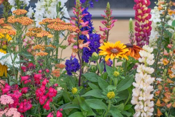 Unleashing the Wild: A Guide to Chaos Gardening