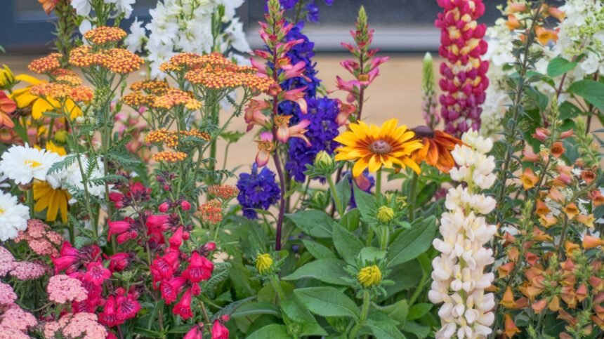 Unleashing the Wild: A Guide to Chaos Gardening