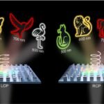 Unveiling the Hidden: Exploring Ultra-Thin Display Technology’s Multifaceted Images