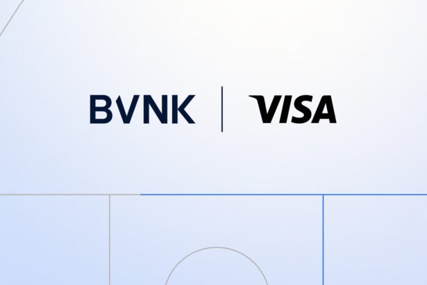 Visa Ventures Invests in BVNK: A Strategic Partnership for Growth