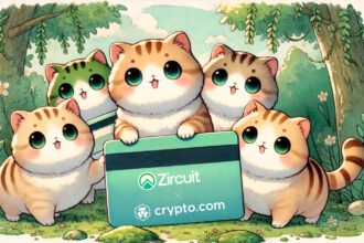 Zircuit Revolutionizes Crypto.com Visa Card Top-Ups with Non-Custodial Wallet Integration