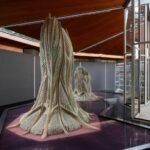 Bacterial Partnerships: Harnessing Photosynthetic Living Material to Capture CO₂
