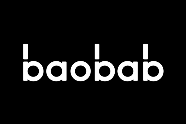 Baobab Insurance Secures €12 Million in Series A Funding