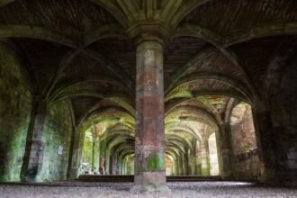 Dynamic Data Architecture: Adapting to Evolving Environments