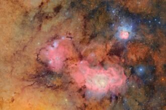 Exploring the Treasures of the Rubin Observatory: A Sneak Peek