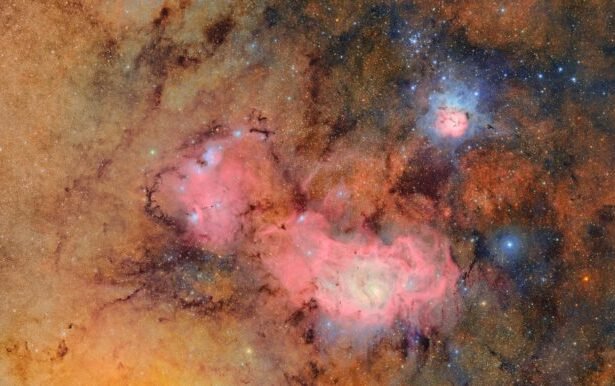 Exploring the Treasures of the Rubin Observatory: A Sneak Peek