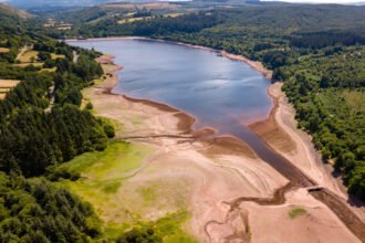 Navigating the AI Revolution: Challenges in Forecasting Water Shortages