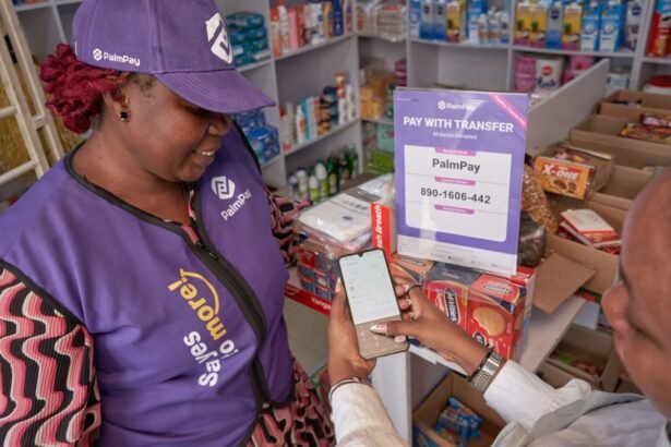 PalmPay’s Potential 0M Funding Round: A Boost for African Fintech