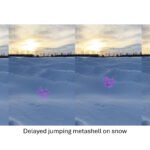 Pre-Programmed Leaps: Anticipating Autonomous Structures