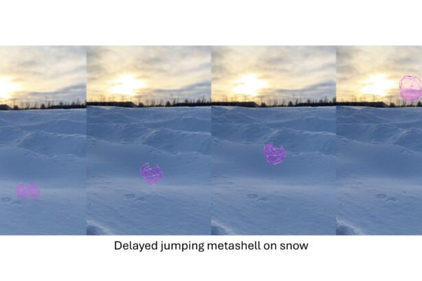 Pre-Programmed Leaps: Anticipating Autonomous Structures