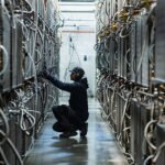 Revitalized AI Infrastructure Market: Tech Giants Drive Surge in Spending