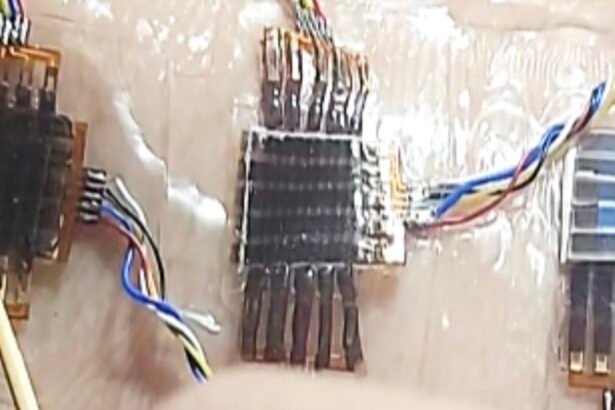Revolutionizing Electronics: The Power of Scalable Self-Healing and Stretchable Transistors