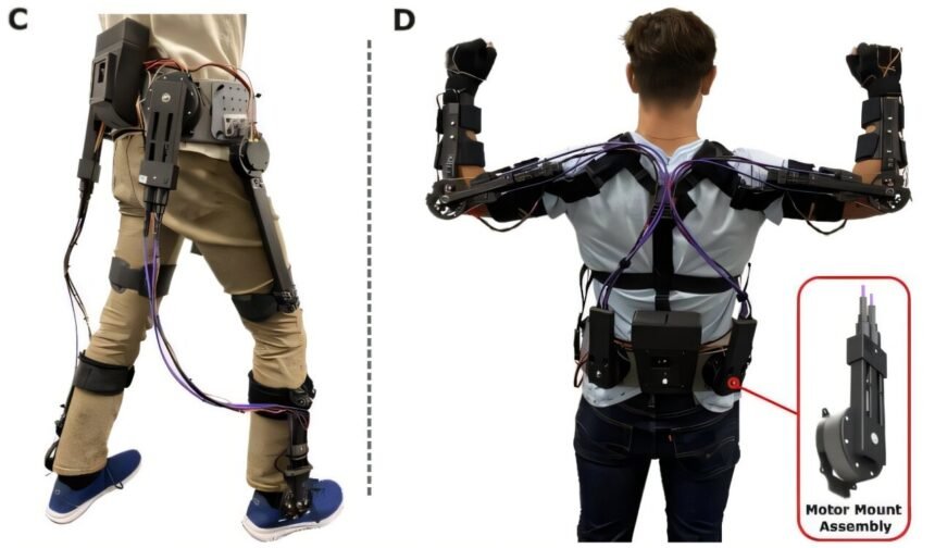 Revolutionizing Mobility: Researchers Introduce Open-Source Robotic Exoskeleton for Enhanced Walking Assistance