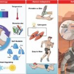Skin-Like Self-Healing Electronics: A Graphene and Polymer Blend