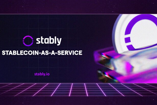 Stablecoin Solutions: Stably’s Expert Development and Advisory Services for Institutions and Enterprises