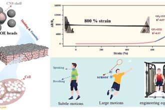 Advanced Polymer Foam Sensor: Revolutionizing Motion Detection with Unprecedented Sensitivity