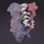 Breaking Barriers: How UW Scientists Are Using AI to Target ‘Undruggable’ Proteins for Innovative Treatments
