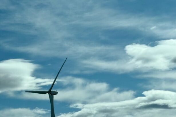 Controversy Erupts Over Trump Administration’s Clean Energy Budget Cuts: Outcry from Climate Tech Industry and Washington Leaders