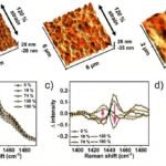 Enhancing Wearable Biosensors with Conductive Polymer Technology