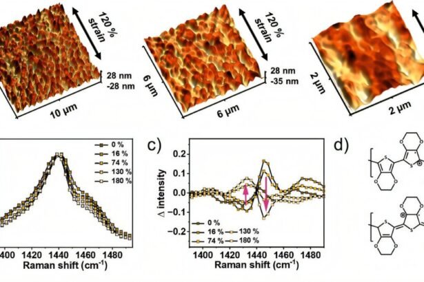 Enhancing Wearable Biosensors with Conductive Polymer Technology
