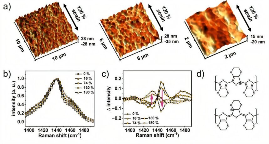 Enhancing Wearable Biosensors with Conductive Polymer Technology